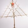 Zure kersenboom 'Morel' leivorm laag (zelbestuivend)